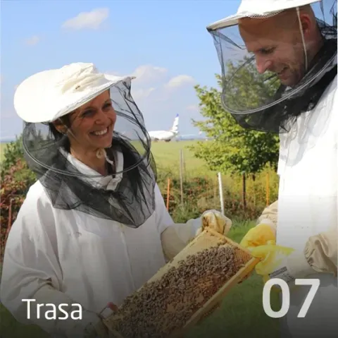 Trasa 7